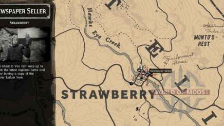 Vendedor de periódicos en el mapa detallado de Strawberry