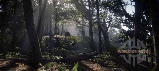 Cómo encontrar todos los tesoros del Negro hueso bosque en RDR Online