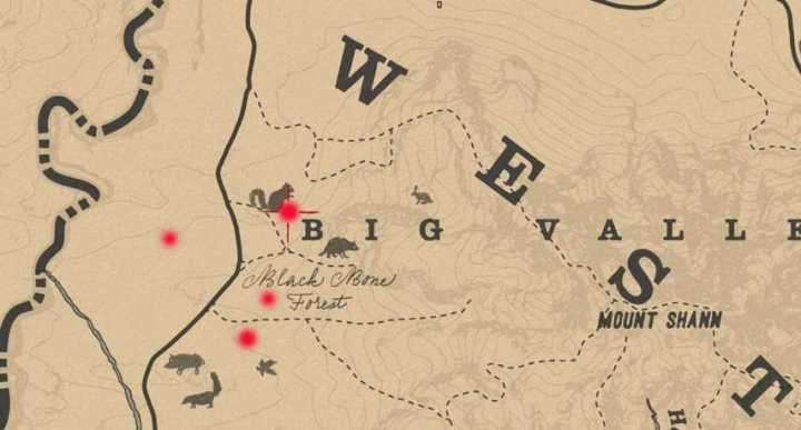 Localización mapas del tesoro en Red Dead Redemption 2