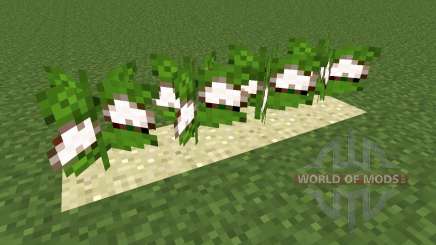 Desert Cotton Mod para Minecraft