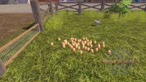 La exactitud de los huevos para Farming Simulator 2013