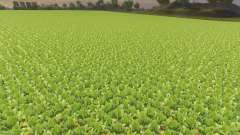 Desactivación de disminución de cosechas para Farming Simulator 2013