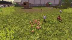 La exactitud de los huevos para Farming Simulator 2013