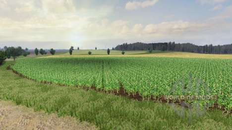 Mapa SEC Borka agro para Farming Simulator 2013