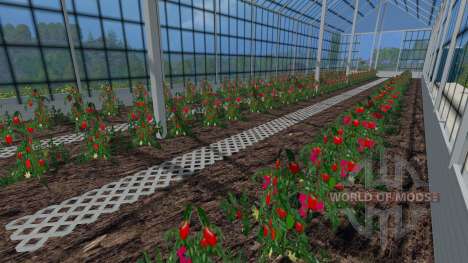 Los invernaderos de tomates y pepinos para Farming Simulator 2015