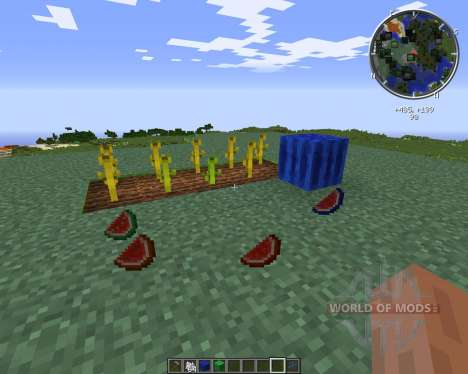 Elemental Melons para Minecraft