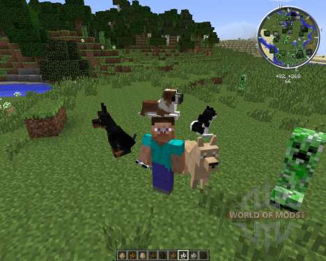 DoggyStyle para Minecraft