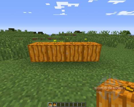 Pumpkin Carvier para Minecraft