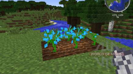 Growing Flowers para Minecraft