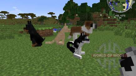 DoggyStyle para Minecraft