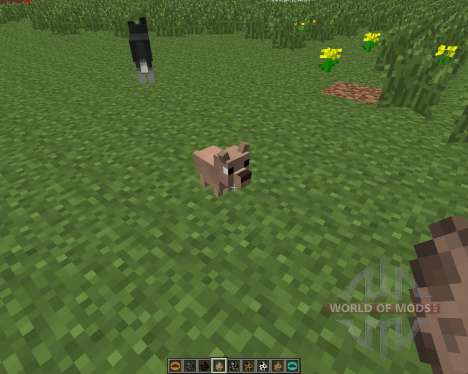 Copious Dogs [1.6.4] para Minecraft