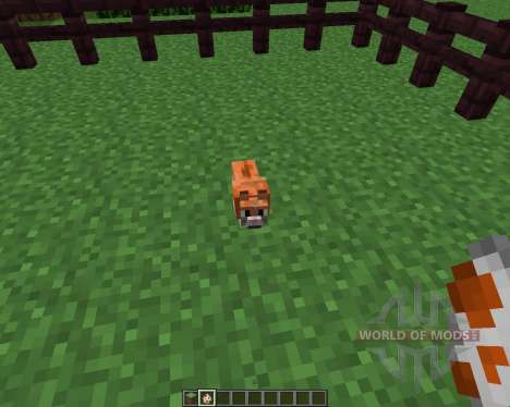 Invincible Hamster [1.5.2] para Minecraft