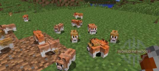 Invincible Hamster [1.7.2] para Minecraft