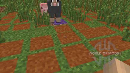 Monster Spawn Highlighter [1.6.4] para Minecraft