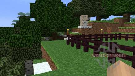 MoreInfo [1.5.2] para Minecraft