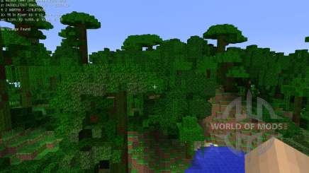 Village Info [1.6.4] para Minecraft