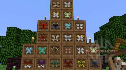 Butterfly Mania [1.5.2] para Minecraft