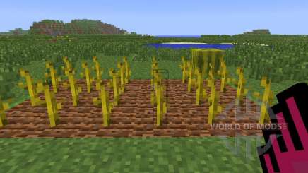 Planter Helper [1.6.4] para Minecraft