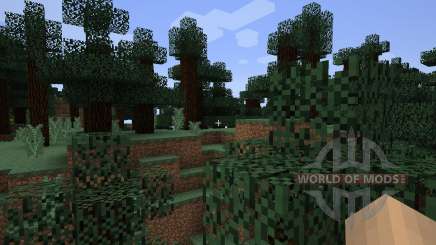 DirectionHUD [1.7.2] para Minecraft