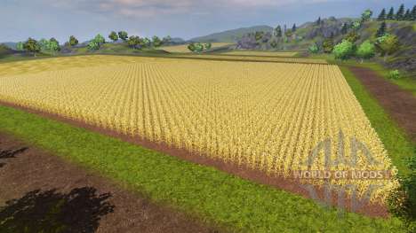 BGA para Farming Simulator 2013