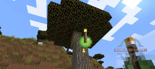 Throwable Torch [1.8] para Minecraft