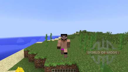 Animated Player [1.7.2] para Minecraft