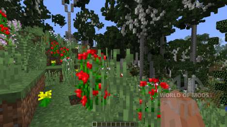Birch Isle Tree Pack Featurette para Minecraft