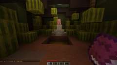 Melon mania 2 para Minecraft