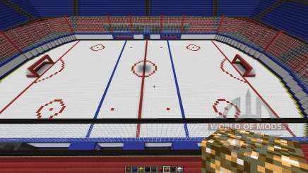 Oustanding Outdoor Hockey Arena para Minecraft