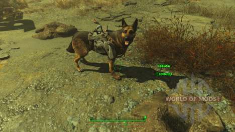 Trucos de armadura para los perros para Fallout 4