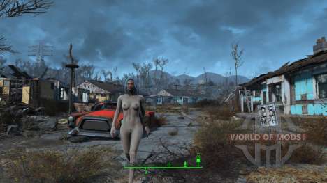 Desnudo personajes femeninos para Fallout 4