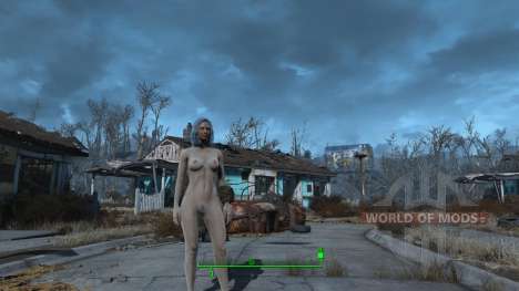 Desnudo personajes femeninos para Fallout 4