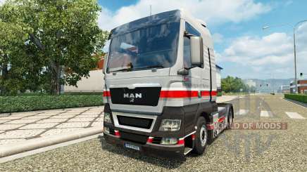 Audi piel para HOMBRE camión para Euro Truck Simulator 2