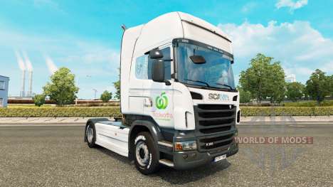 La piel Woolworths para camiones DAF, Scania y V para Euro Truck Simulator 2