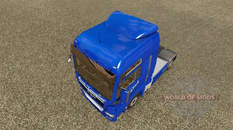 La ortiga Transportes de piel para HOMBRE camión para Euro Truck Simulator 2