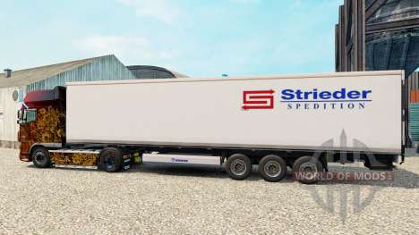 La piel Strieder en el semirremolque-el refriger para Euro Truck Simulator 2