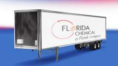 Florida Química de la piel en el remolque para American Truck Simulator