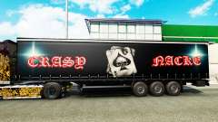 La piel Crasy Trans Logística v2.0 para remolques para Euro Truck Simulator 2