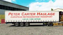 La piel de Peter Carter de Transporte de mercancías en la cortina semi-remolque para Euro Truck Simulator 2