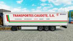 La piel de Transportes Caudete S. A. cortina semi-remolque para Euro Truck Simulator 2