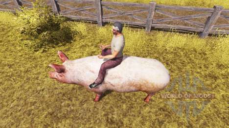 Cerdo v2.0 para Farming Simulator 2013