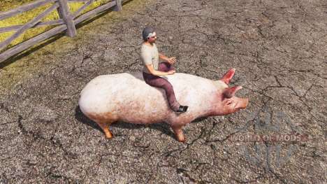 Cerdo para Farming Simulator 2013