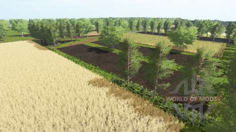 Polaco para Farming Simulator 2017