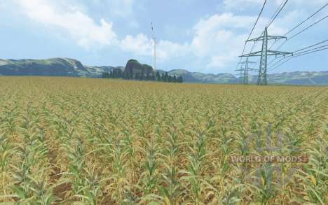 Corn Fever para Farming Simulator 2015