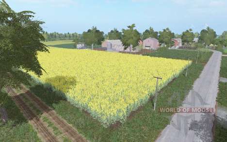 Drogomysl para Farming Simulator 2017