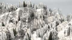 Snow Ridge Logging para MudRunner