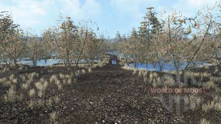 Swamp para Farming Simulator 2015