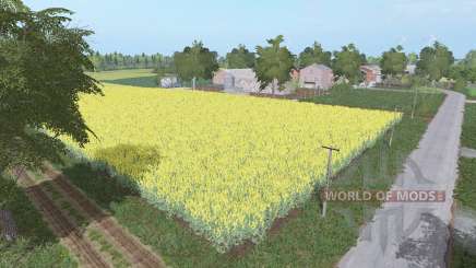 Drogomysl para Farming Simulator 2017