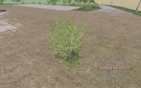 Árbol pequeño para Farming Simulator 2017