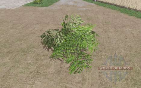 Un arbusto grande para Farming Simulator 2017